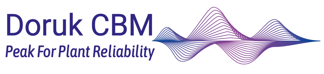 Doruk CBM — Peak For Plant Reliability